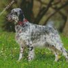 Setter Dog diamond painting