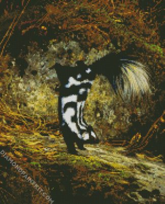 Striped Skunk Animal diamond painting