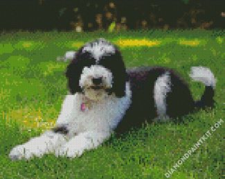 The Sheepadoodle Dog diamond painting