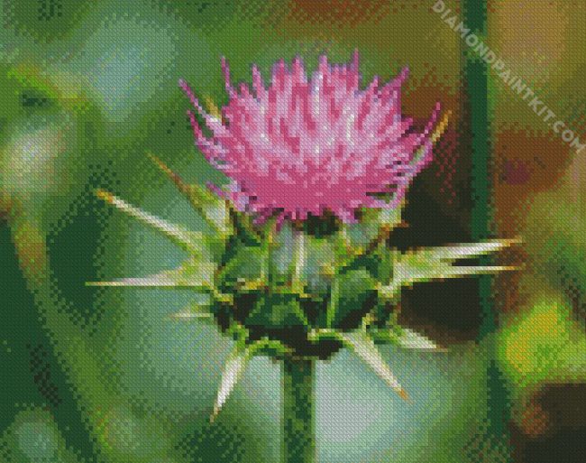 Thistle Plant diamond painting