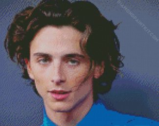 Timothee Chalamet diamond painting