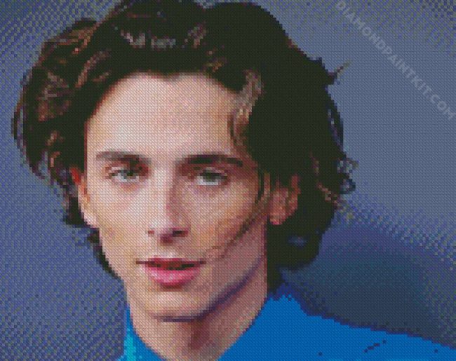 Timothee Chalamet diamond painting