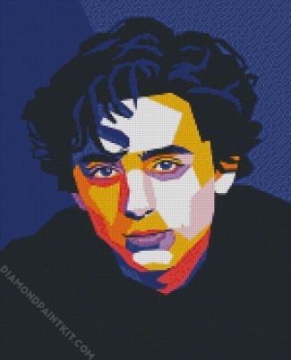 Timothee Chalamet Pop Art diamond painting