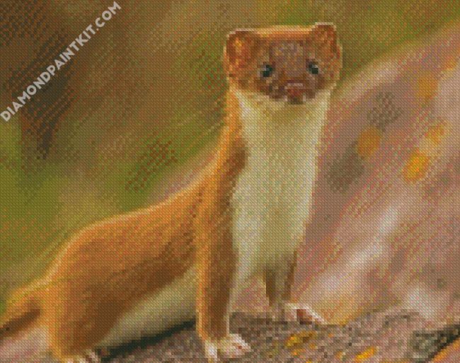 Weasel diamond painting