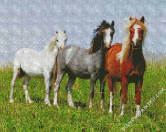 Welsh Ponies diamond painting