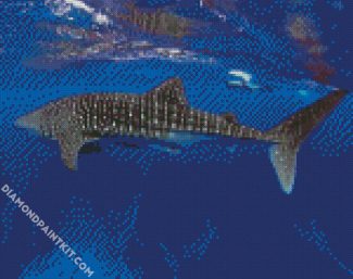 Whale Shark Underwater diamond painting