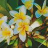 White Yellow Plumeria diamond painting