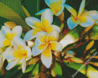 White Yellow Plumeria diamond painting