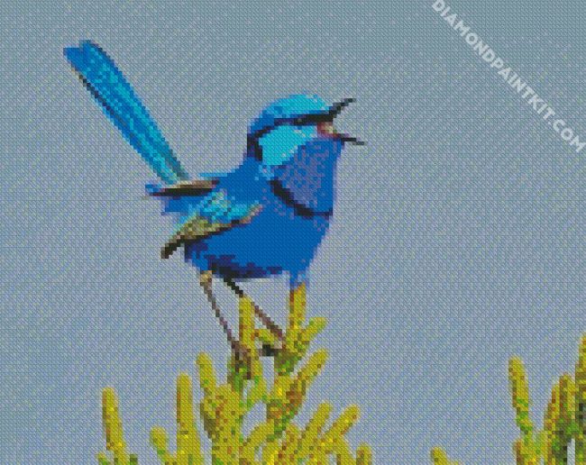 Blue Wren diamond painting