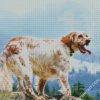 English Setter Dog Breed diamond painting