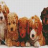 Labradoodle Puppies diamond painting