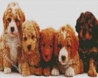 Labradoodle Puppies diamond painting