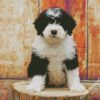 Sheepadoodle Dog Puppy diamond painting