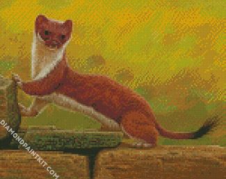 Stoat Weasel diamond painting