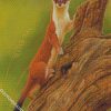 Stoat Weasel Animal diamond painting