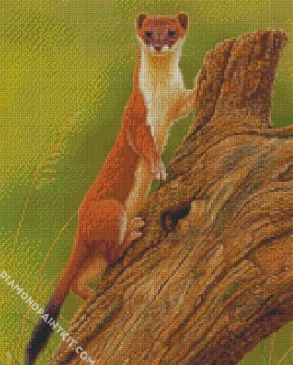 Stoat Weasel Animal diamond painting