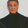 Sylvester Stallone diamond painting