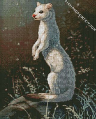 White Stoat diamond painting