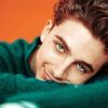 Actor Timothee Chalamet diamond painting