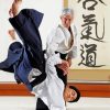 Aikido Art diamond painting