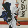 Aikido Art diamond painting