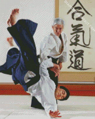 Aikido Art diamond painting