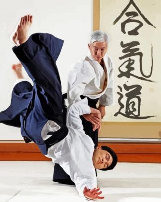 Aikido Art diamond painting