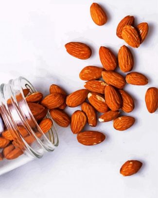 Almonds In Jar diamond painting