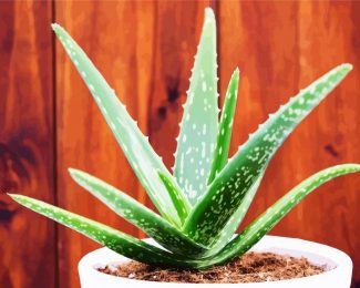 Aloe Plant diamond painting