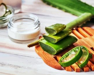 Aloe Vera Slices diamond painting