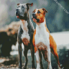 American Staffordshire Dogs diamond painting