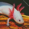 Amphibian Axolotl diamond painting