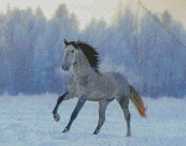 Andalusian Horse In The Snow diamond painting