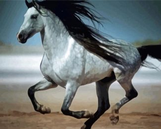 Andalusian Horse Running diamond painting