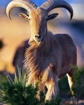 Aoudad Animal diamond painting