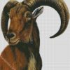 Aoudad Art diamond painting