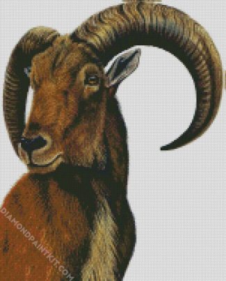 Aoudad Art diamond painting