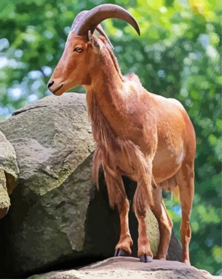 Aoudad Barbary Sheep diamond painting