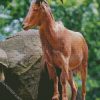 Aoudad Barbary Sheep diamond painting