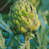 Artichoke Plant diamond painting