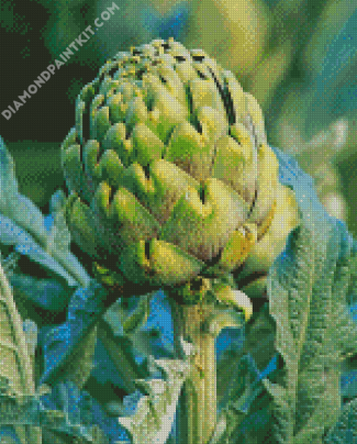 Artichoke Plant diamond painting