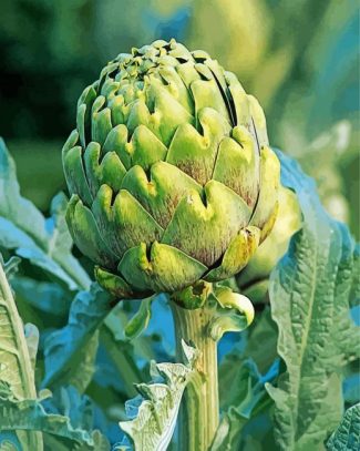 Artichoke Plant diamond painting