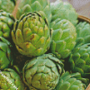 Artichokes Food diamond painting