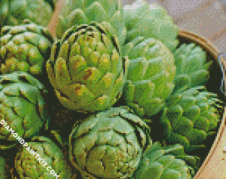 Artichokes Food diamond painting