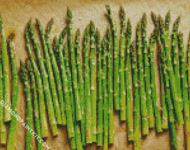 Asparagus Vegetable diamond painting