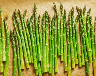 Asparagus Vegetable diamond painting