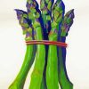 Asparagus Art diamond painting