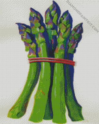 Asparagus Art diamond painting