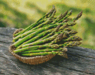 Asparagus diamond painting