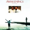 Awakening Movie Poster diamond painting